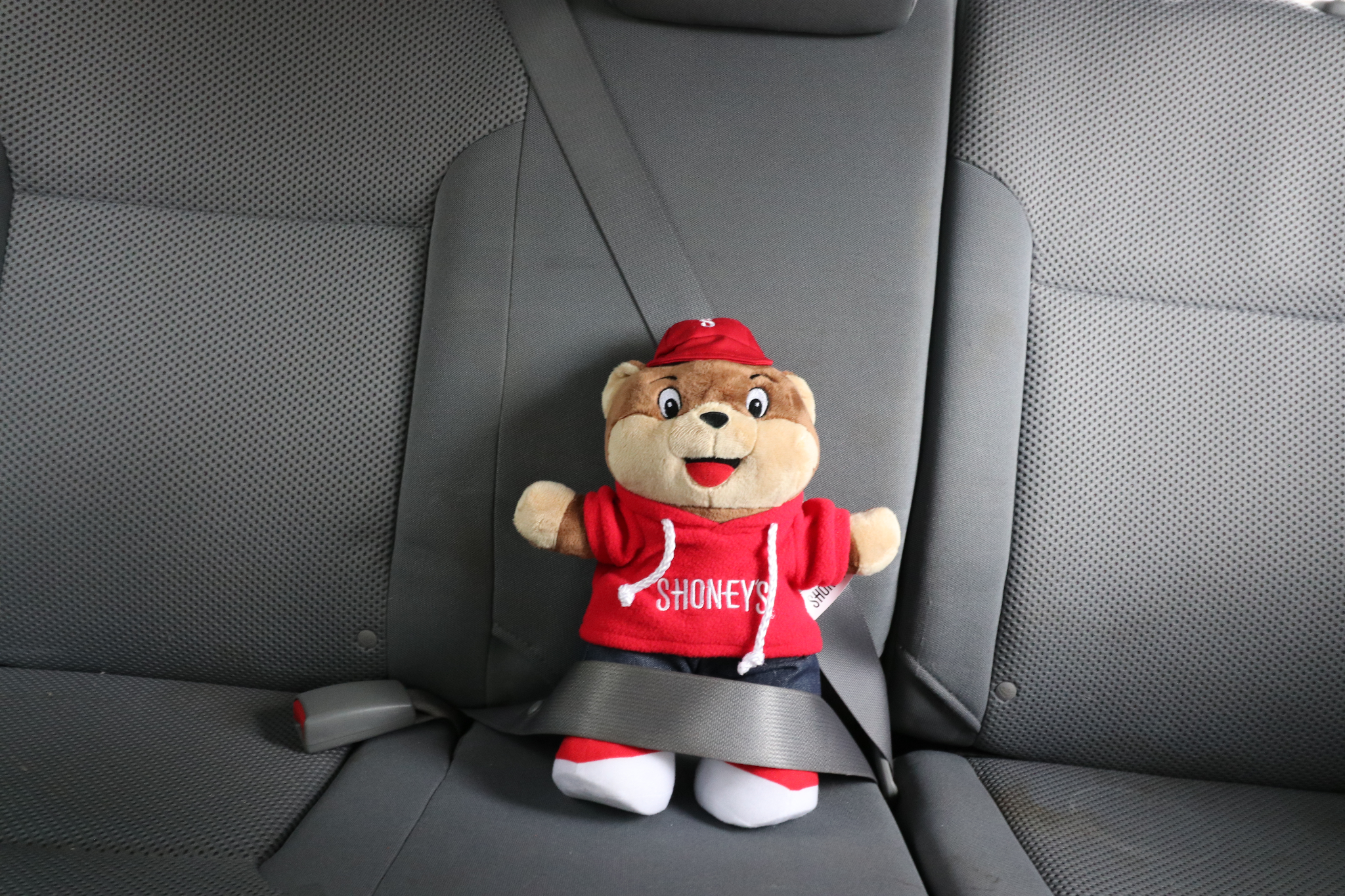 shoney bear
